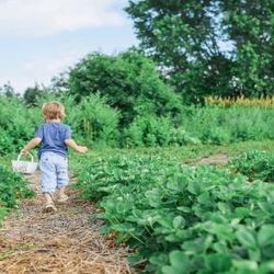 5 Simple Health Benefits of Outdoor Gardening
