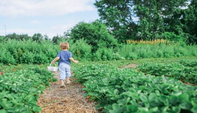 5 Simple Health Benefits of Outdoor Gardening