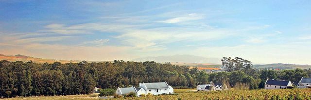 Wine Estate in Diemersfontein Wine and Country Estate
