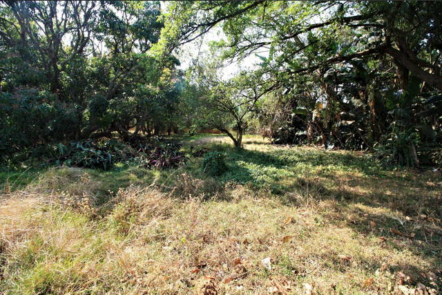 1,048m² Vacant Land For Sale in Simbithi Eco Estate