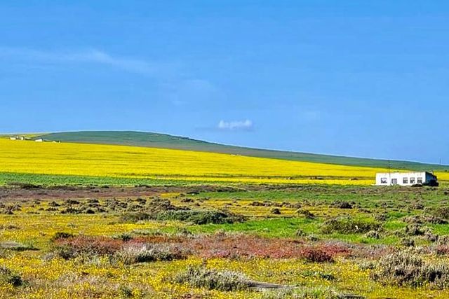 Best Places to View the Cape's Spring Flowers
