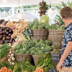 The Best Organic Food Shops in Cape Town