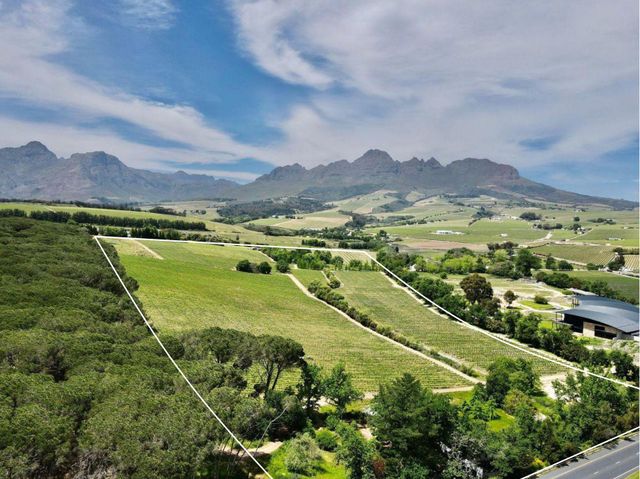 The Golden Triangle of Stellenbosch.