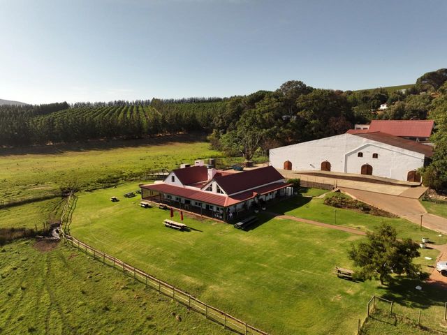 PICTURE PERFECT 100 YEAR OLD HISTORIC WINE FARM