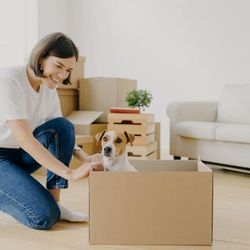 A complete guide to moving with pets