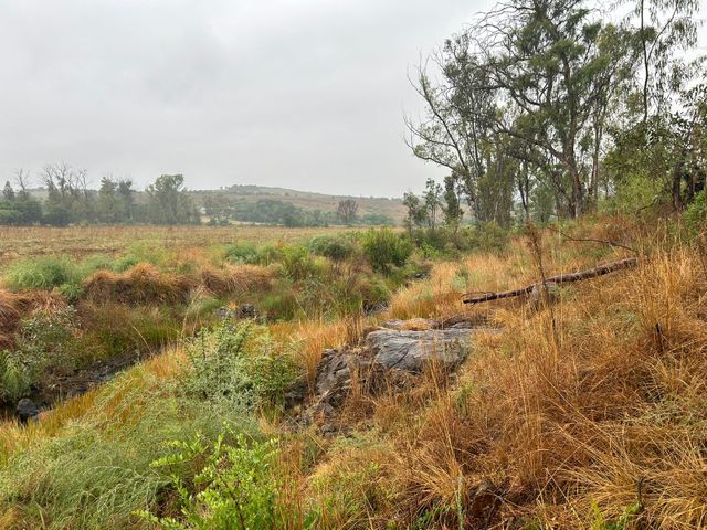 8.33Ha Vacant Land For Sale in Magaliesburg
