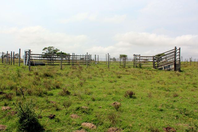 Stock farm for sale on N6