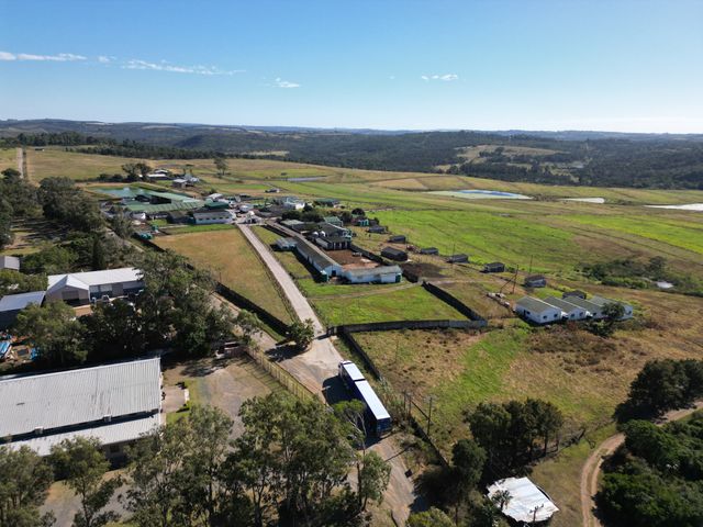 Dairy farm with huge income potential