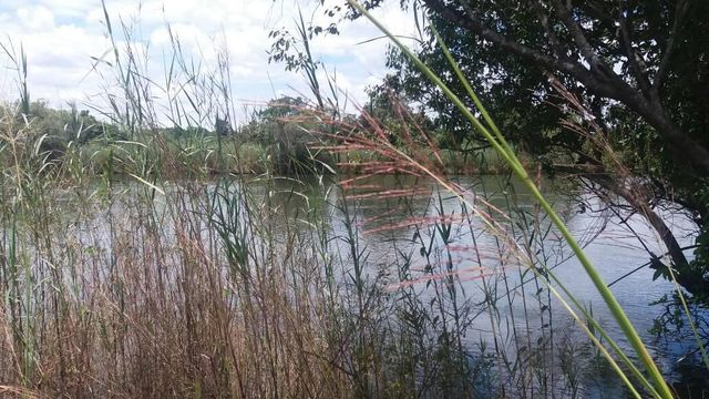 FARMING RANCH POTENTIAL ON KAFUE RIVER