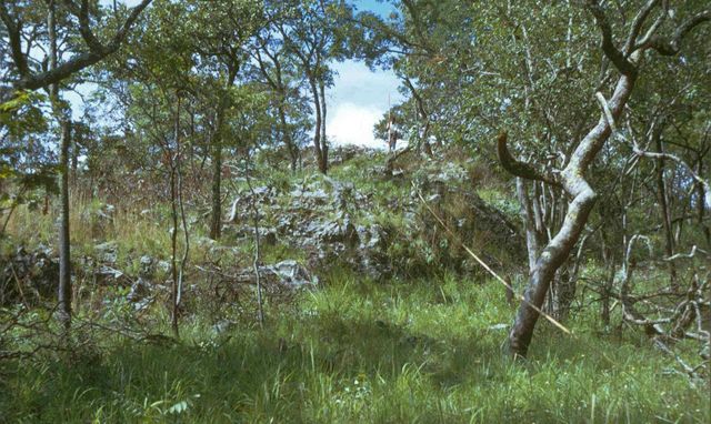 6Ha Vacant Land For Sale in State Lodge
