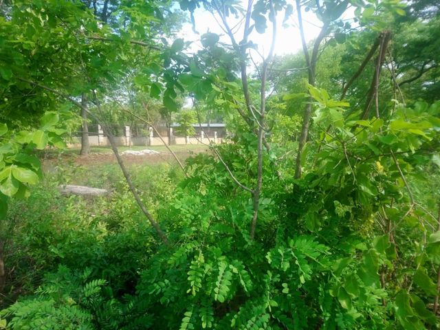 28,955m² Vacant Land For Sale in Ngwerere