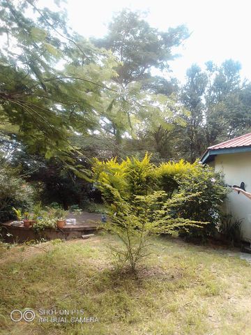 1 acre Plot with a cottage for sale in ibex hill