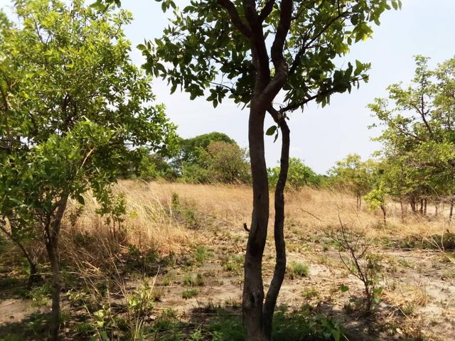 4,000m² Vacant Land For Sale in Ngwerere