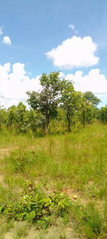 Vacant land for Sale In Chifwema area