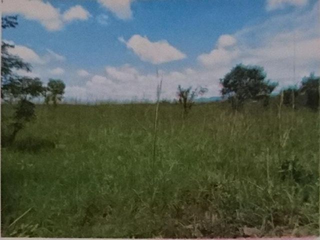 2Ha Vacant Land For Sale in Leopards Hill