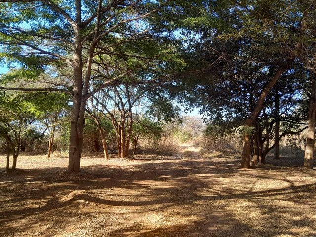 5 ACRE SMALL HOLDING FARM FOR SALE IN WATERFALLS