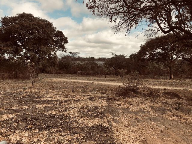 4Ha Vacant Land For Sale in State Lodge