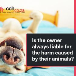 Is the Owner Always Liable For The Harm Caused By Their Animals?