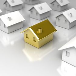 Property investor tips