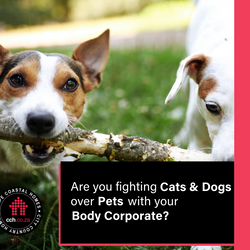 Are You Fighting Cats & Dogs Over Pets With Your Body Corporate?