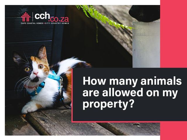 How Many Animals Are Allowed On My Property?