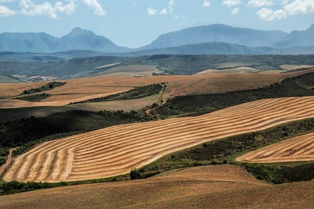 Expropriation Of Land Without Compensation - What You Need To Know