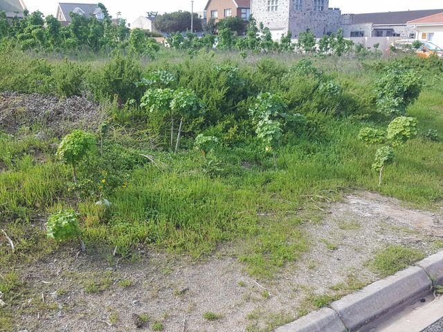 587m² Vacant Land For Sale in Bluewater Bay