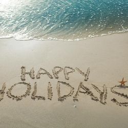 WE WISH YOU ALL HAPPY HOLIDAYS FROM THE BLUE CHIP TEAM