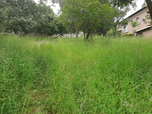 750m² Vacant Land For Sale in Cashan