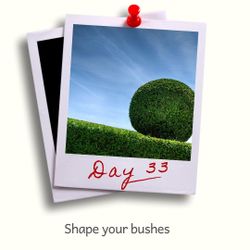 Day 33 - Shape your bushes.