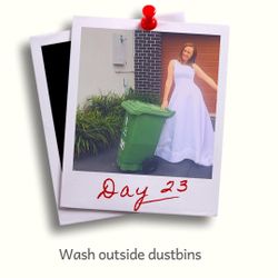 Day 23 - Wash your green dustbin