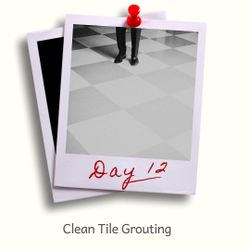 Day 12 - Cleaning Tile Grout