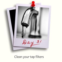 Day 31 - Clean your tap filters.