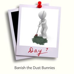 Day 7 - Banish the dust bunnies