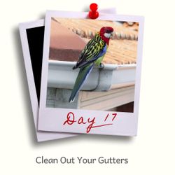 Day 17 - Clean out your gutters.