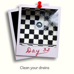 Day 35 - Clean your drains.