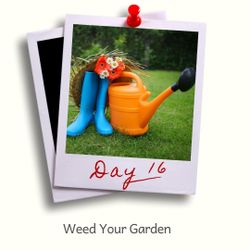 Day 16 - Weed your garden