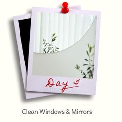 Day 5 - Clean windows and mirrors