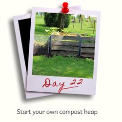 Day 22 - Start your own compost heap