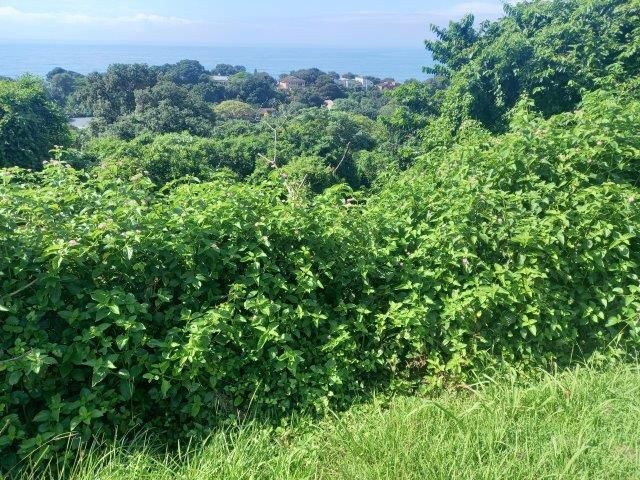 1,100m² Vacant Land For Sale in Zinkwazi Beach