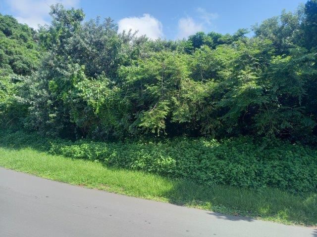 1,537m² Vacant Land For Sale in Zinkwazi Beach