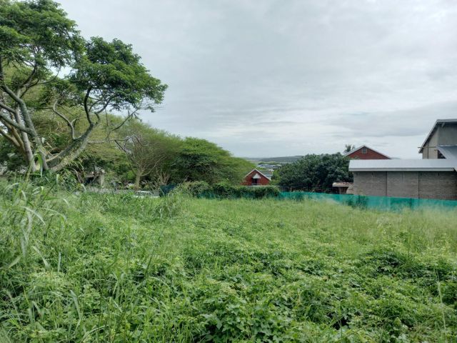 1,167m² Vacant Land For Sale in Zinkwazi Beach