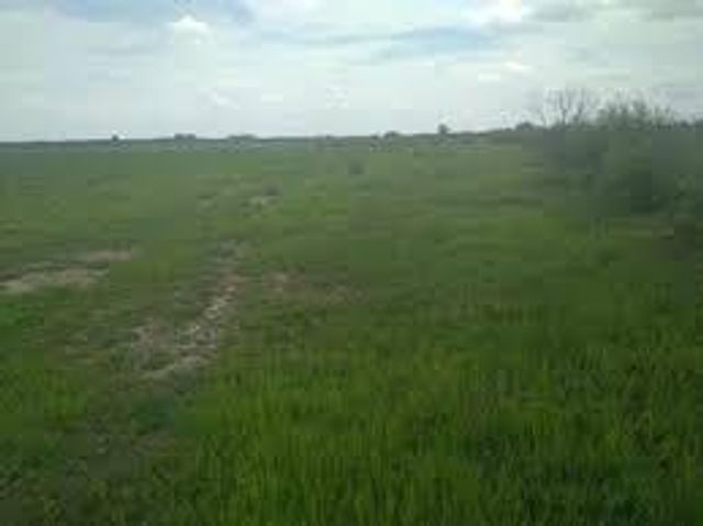 1,100m² Vacant Land For Sale in Linden