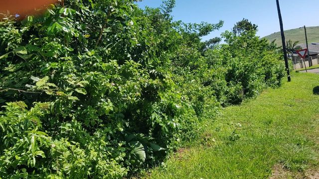 1,036m² Vacant Land For Sale in Tinley Manor
