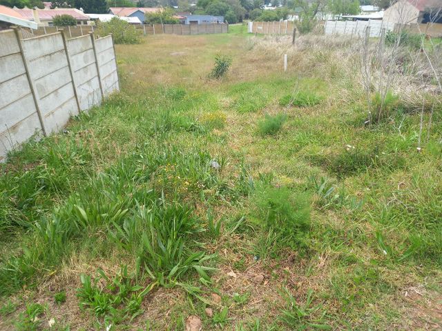 704m² Vacant Land For Sale in Albertinia