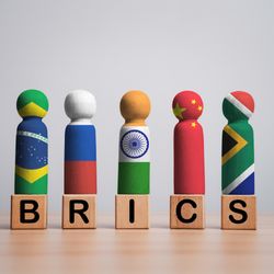 South Africa’s agriculture within BRICS