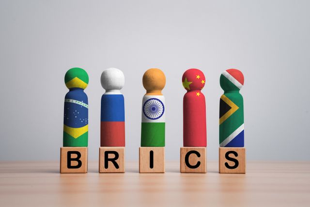 South Africa’s agriculture within BRICS