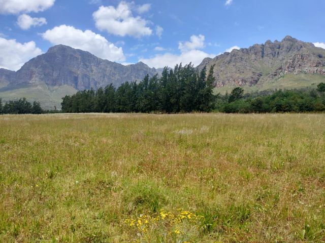 PAARL: Ideal lucerne farm to lease