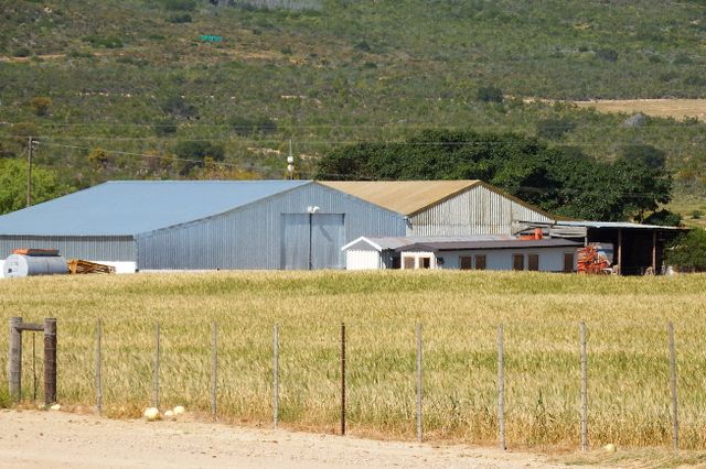 1,324Ha Farm For Sale in Piketberg Rural
