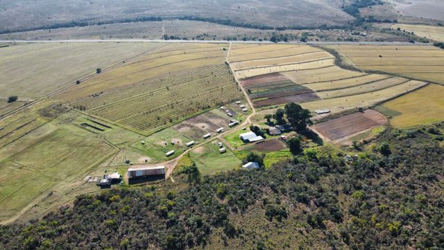 Middelburg: 215 Ha Potential game and Lodge, Vegetables, Peach, Grass, Cattle and Sheep farm